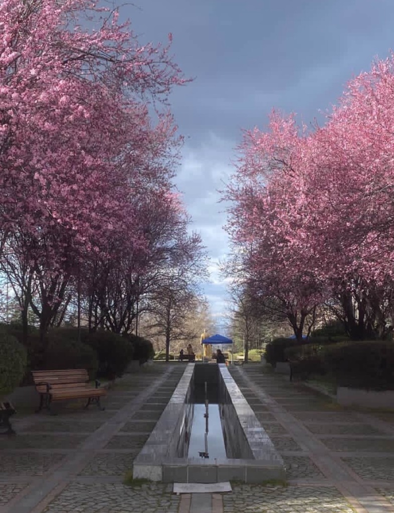 Spring in Bilkent